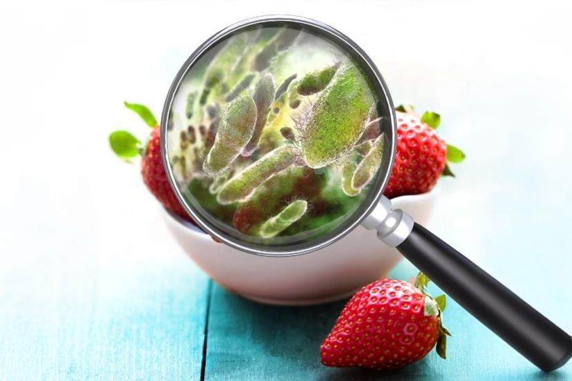 GIDA GÜVENLİĞİNDE ALARM VEREN RAPOR