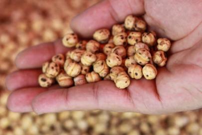 GÜNDE BİR AVUÇ LEBLEBİ SAĞLIĞA DESTEK OLUYOR