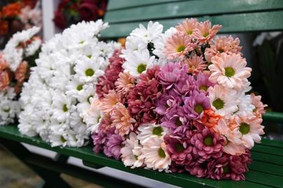 ÖĞRETMENLER GÜNÜNDE KIR ÇİÇEĞİNE YOĞUN İLGİ