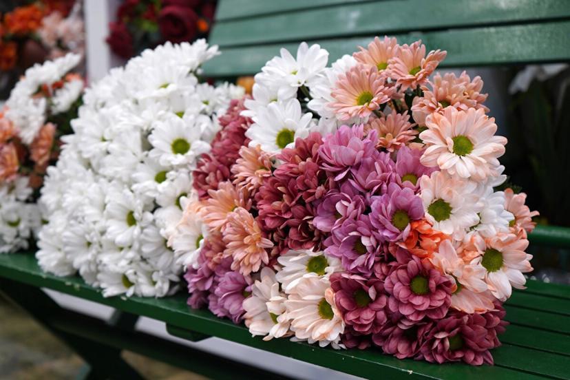 ÖĞRETMENLER GÜNÜNDE KIR ÇİÇEĞİNE YOĞUN İLGİ