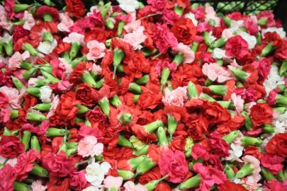 YUNANİSTAN’IN ÇİÇEK YAĞMURU ANTALYA’DAN