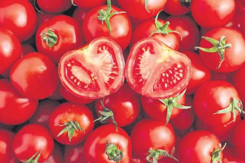 LİKOPENLE SAĞLIĞA KIRMIZI KALKAN