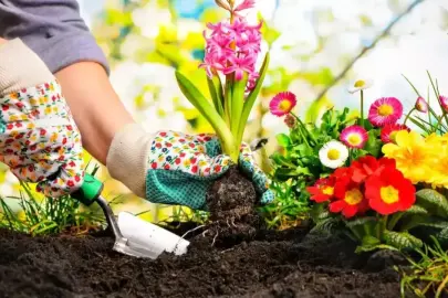 NİSAN’DA EK, YAZIN RENK PATLAMASI YAŞA