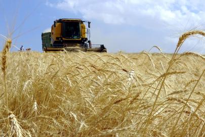 YÖK’TEN YAPAY ZEKA VE TARIM ATAĞI