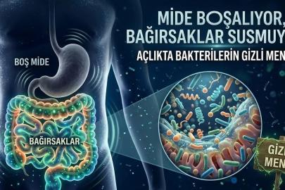 AÇLIKTA BİLE BAĞIRSAKLARDA HAYAT SÜRÜYOR