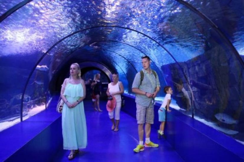 DÜNYA'NIN EN BÜYÜK TÜNEL AKVARYUMU